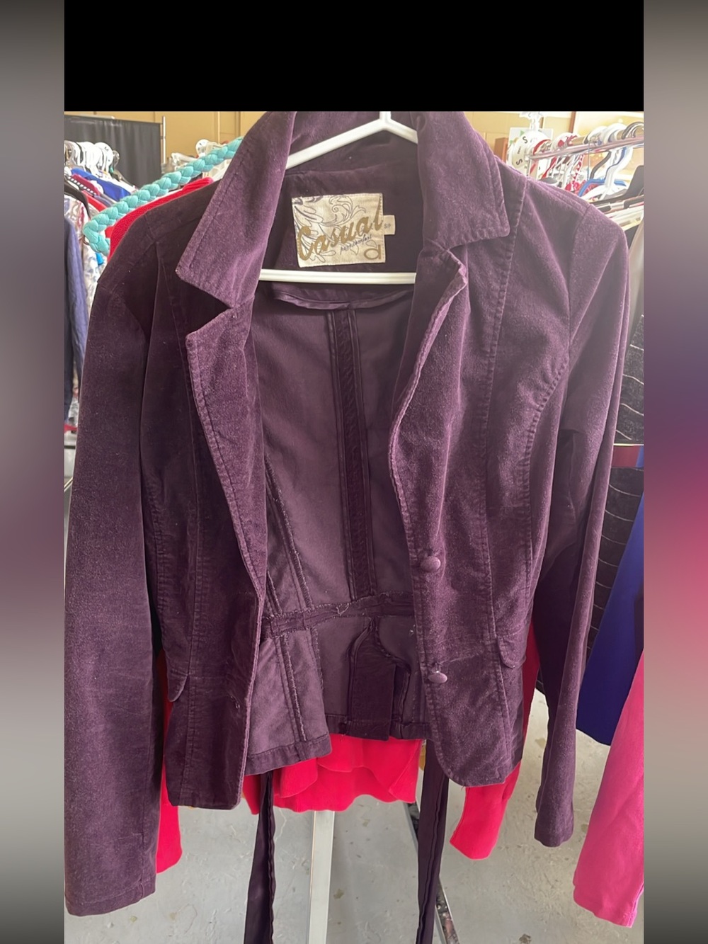 Brand Violet Velvet Blazer Jacket